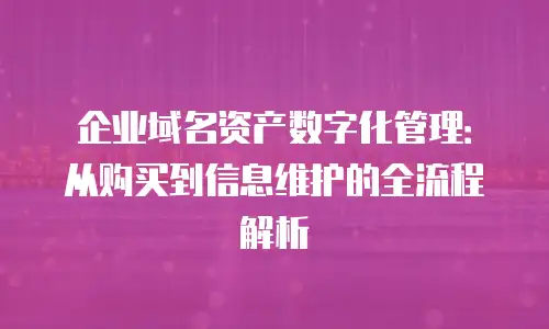 企业域名资产数字化管理：从购买到信息维护的全流程解析
