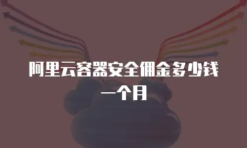 阿里云容器安全佣金多少钱一个月