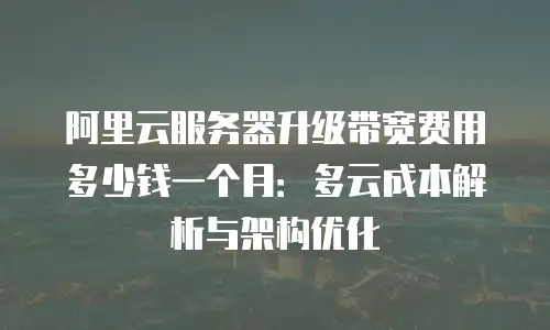 阿里云服务器升级带宽费用多少钱一个月：多云成本解析与架构优化