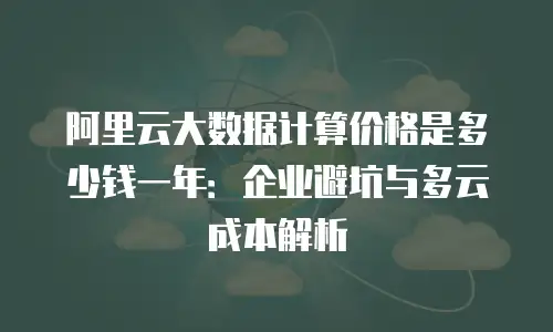 阿里云大数据计算价格是多少钱一年：企业避坑与多云成本解析