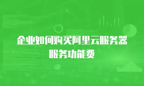 企业如何购买阿里云服务器服务功能费