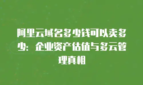 阿里云域名多少钱可以卖多少：企业资产估值与多云管理真相
