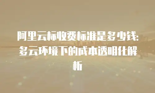 阿里云标收费标准是多少钱：多云环境下的成本透明化解析