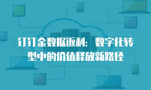 钉钉金数据返利：数字化转型中的价值释放新路径