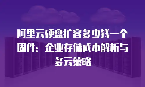 阿里云硬盘扩容多少钱一个固件：企业存储成本解析与多云策略
