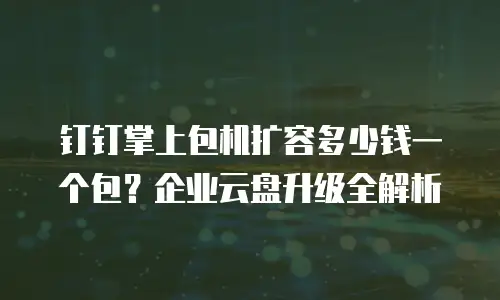 钉钉掌上包机扩容多少钱一个包？企业云盘升级全解析