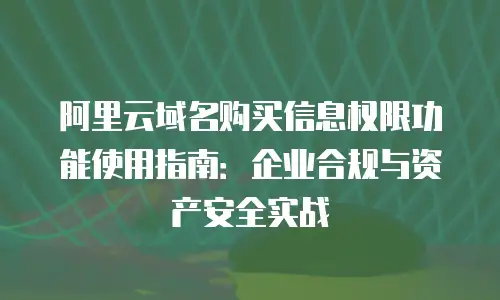 阿里云域名购买信息权限功能使用指南：企业合规与资产安全实战