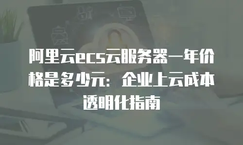 阿里云ecs云服务器一年价格是多少元：企业上云成本透明化指南