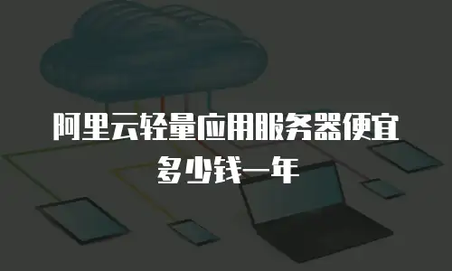 阿里云轻量应用服务器便宜多少钱一年