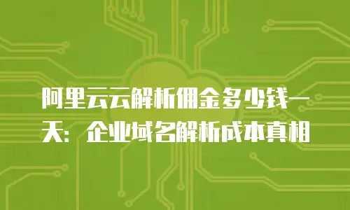 阿里云云解析佣金多少钱一天：企业域名解析成本真相