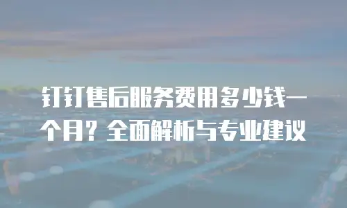 钉钉售后服务费用多少钱一个月？全面解析与专业建议