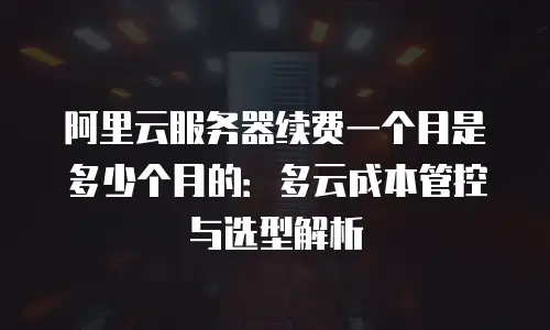 阿里云服务器续费一个月是多少个月的：多云成本管控与选型解析