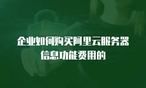 企业如何购买阿里云服务器信息功能费用的