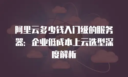 阿里云多少钱入门级的服务器：企业低成本上云选型深度解析