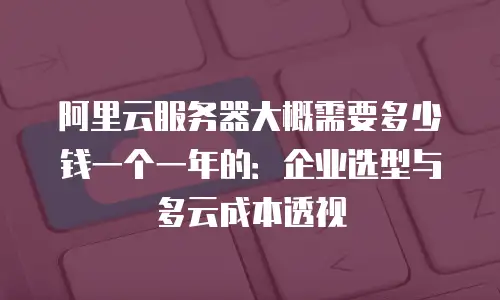 阿里云服务器大概需要多少钱一个一年的：企业选型与多云成本透视