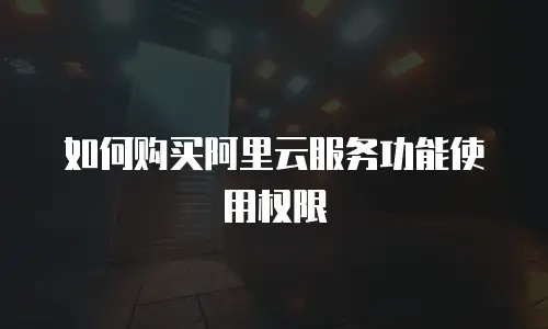 如何购买阿里云服务功能使用权限