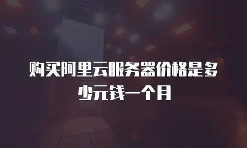 购买阿里云服务器价格是多少元钱一个月