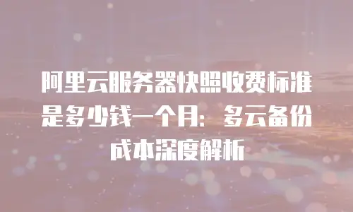 阿里云服务器快照收费标准是多少钱一个月：多云备份成本深度解析