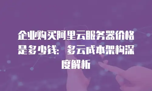 企业购买阿里云服务器价格是多少钱：多云成本架构深度解析