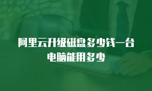 阿里云升级磁盘多少钱一台电脑能用多少