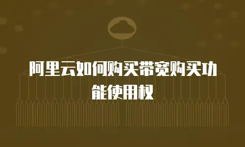 阿里云如何购买带宽购买功能使用权