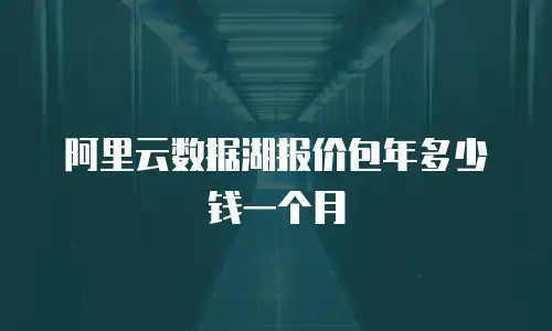 阿里云数据湖报价包年多少钱一个月