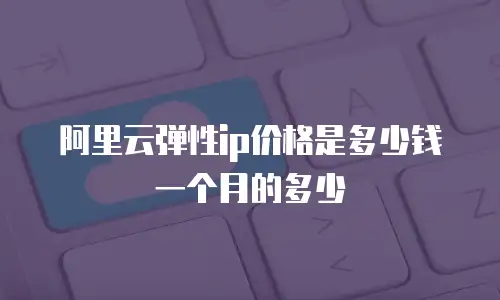 阿里云弹性ip价格是多少钱一个月的多少