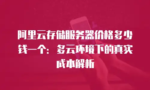 阿里云存储服务器价格多少钱一个：多云环境下的真实成本解析
