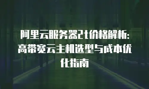 阿里云服务器2t价格解析：高带宽云主机选型与成本优化指南