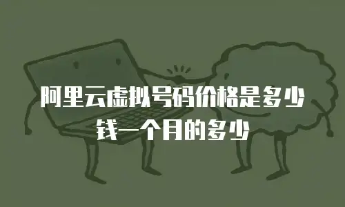 阿里云虚拟号码价格是多少钱一个月的多少