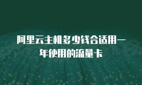 阿里云主机多少钱合适用一年使用的流量卡