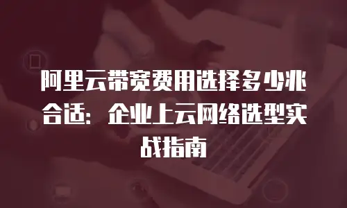 阿里云带宽费用选择多少兆合适：企业上云网络选型实战指南