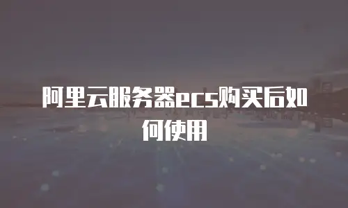 阿里云服务器ecs购买后如何使用