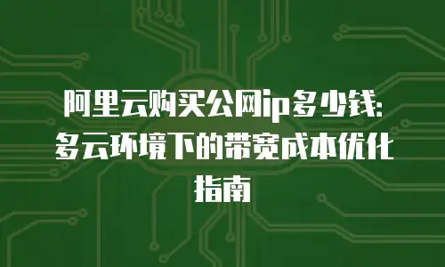 阿里云购买公网ip多少钱：多云环境下的带宽成本优化指南
