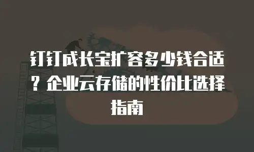钉钉成长宝扩容多少钱合适？企业云存储的性价比选择指南