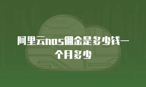 阿里云nas佣金是多少钱一个月多少