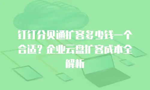 钉钉分贝通扩容多少钱一个合适？企业云盘扩容成本全解析