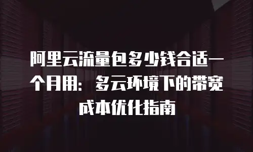 阿里云流量包多少钱合适一个月用：多云环境下的带宽成本优化指南