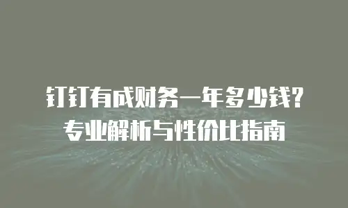 钉钉有成财务一年多少钱？专业解析与性价比指南