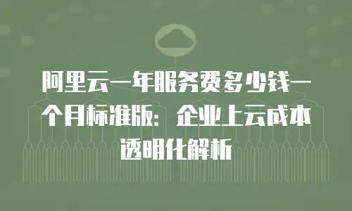 阿里云一年服务费多少钱一个月标准版：企业上云成本透明化解析