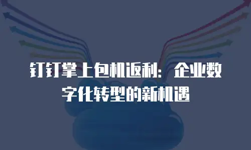 钉钉掌上包机返利：企业数字化转型的新机遇