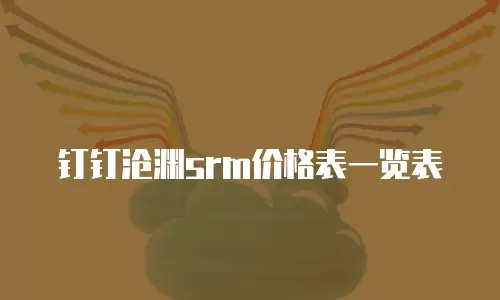 钉钉沧渊srm价格表一览表