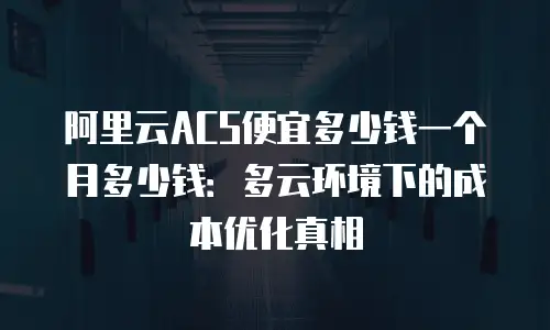 阿里云ACS便宜多少钱一个月多少钱：多云环境下的成本优化真相