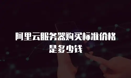 阿里云服务器购买标准价格是多少钱