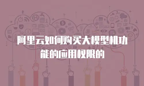 阿里云如何购买大模型机功能的应用权限的