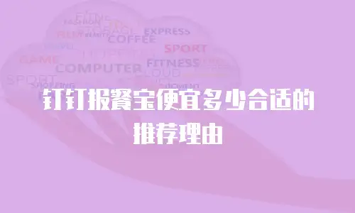 钉钉报餐宝便宜多少合适的推荐理由