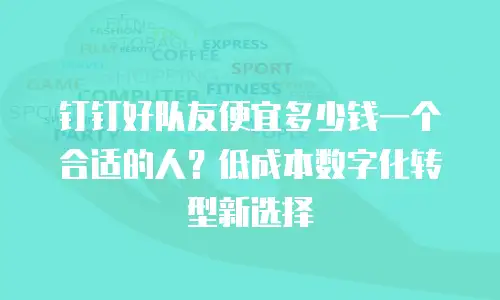 钉钉好队友便宜多少钱一个合适的人？低成本数字化转型新选择