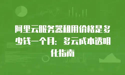 阿里云服务器租用价格是多少钱一个月：多云成本透明化指南