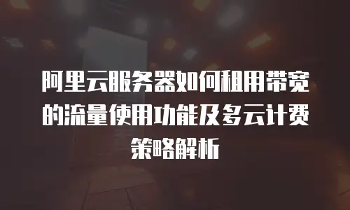 阿里云服务器如何租用带宽的流量使用功能及多云计费策略解析