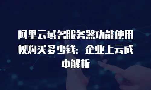 阿里云域名服务器功能使用权购买多少钱：企业上云成本解析
